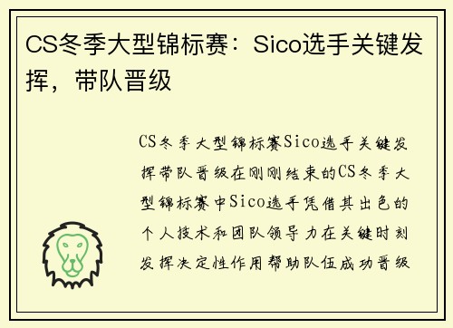 CS冬季大型锦标赛：Sico选手关键发挥，带队晋级