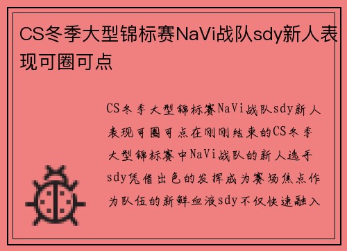 CS冬季大型锦标赛NaVi战队sdy新人表现可圈可点