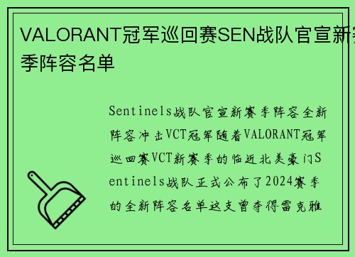 VALORANT冠军巡回赛SEN战队官宣新赛季阵容名单